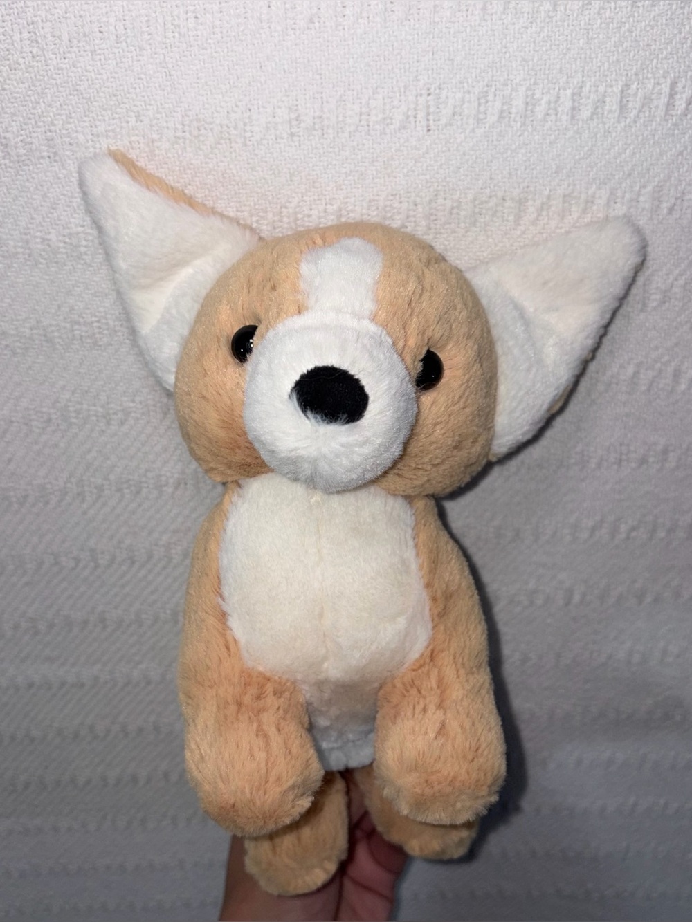 Jellycat Isobel Chihuahua Puppy Dog Plush Stuffed Animal Toy Retired Soft